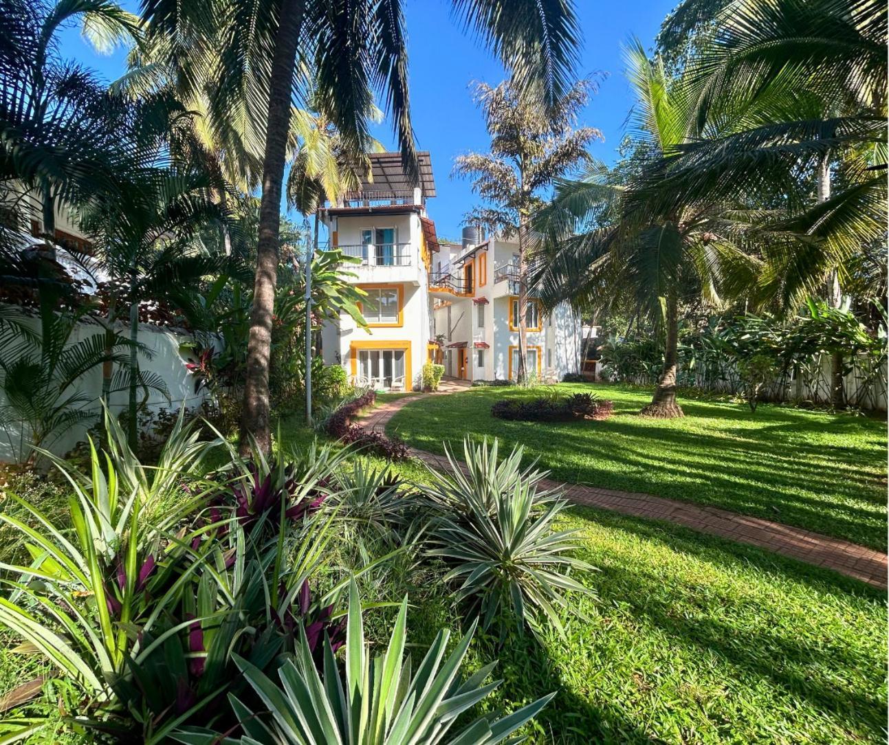 Apartment Jungle Hut-annabelle's At Bernard Simao,calangute,goa *