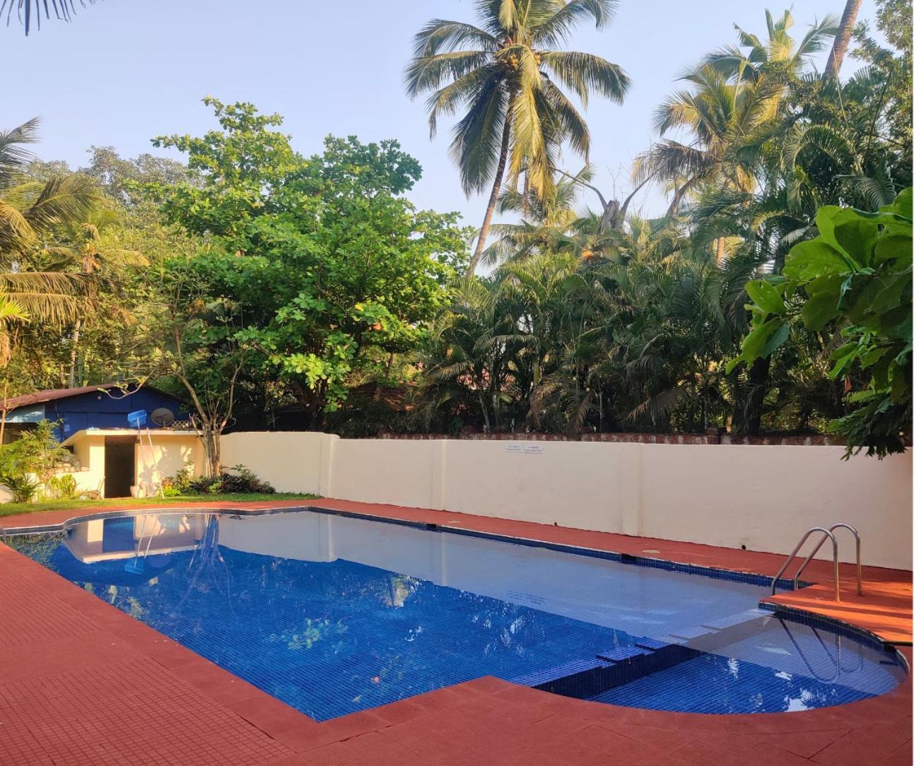 Apartment Jungle Hut-annabelle's At Bernard Simao,calangute,goa